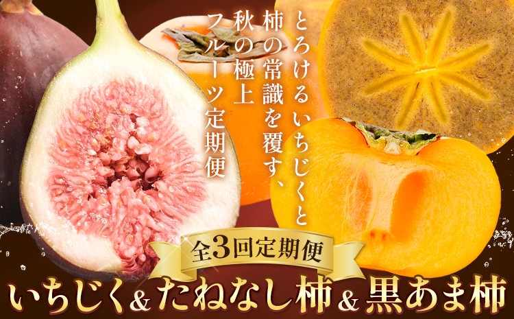 
                  【定期】【チョイス限定】とろける「いちじく」と黒・橙の柿食べ比べ。秋の極上フルーツ定期便【全3回】《2026年9月-11月頃出荷》イチジク 柿 種なし 黒あま かき 食べ比べ
                