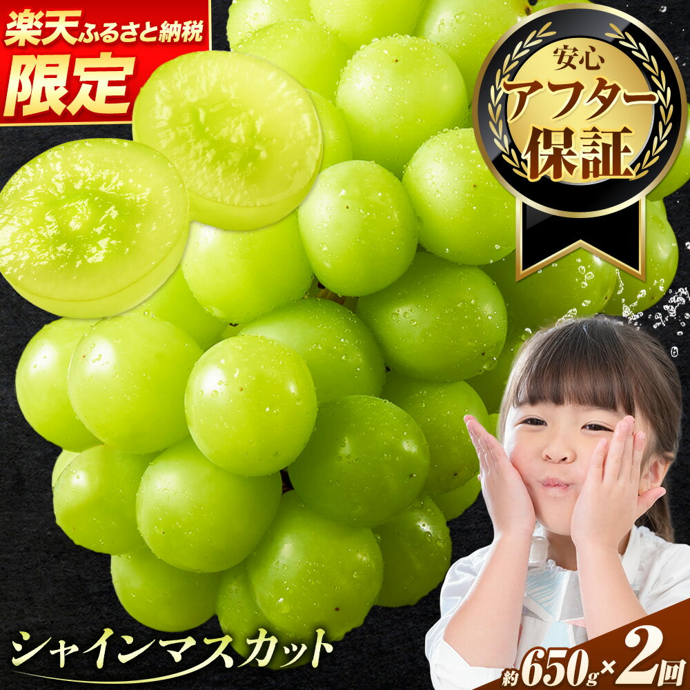 【ふるさと納税】【楽天限定】【アフター保証付】厳選 ご家庭用 シャインマスカット 選べる容量 約650g~2kg or 1.3kg×2回定期便【先行予約】《2026年9月上旬-11月上旬頃に出荷》マスカット 送料無料 岡山県 浅口市 ぶどう フルーツ 果物
