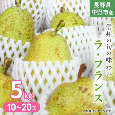 ふるさと納税 中野市 長野県中野市産　旬の洋梨ラ・フランス5kg10〜20玉
