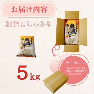 ふるさと納税 伊豆市 静岡 伊豆 修善寺 産【 桂流 こしひかり 】 5kg ×1袋 数量限定 |  | 03