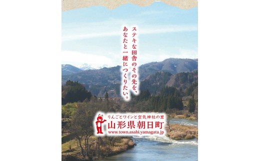 りんご 朝日町産【 ご家庭用 訳あり 】 ふじりんご 3kg 【11月中旬～12月中旬発送】サンふじ ふじ リンゴ 林檎