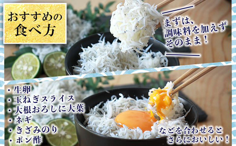 ＜老舗網元 濱田屋の釜あげしらす 計1kg（100g×10袋）＞『1か月以内に順次出荷予定』 数量限定 化粧箱 簡易包装 選べる 釜揚げ シラス じゃこ 海鮮 海産物 丼 小魚 乾物 小分け カルシウ