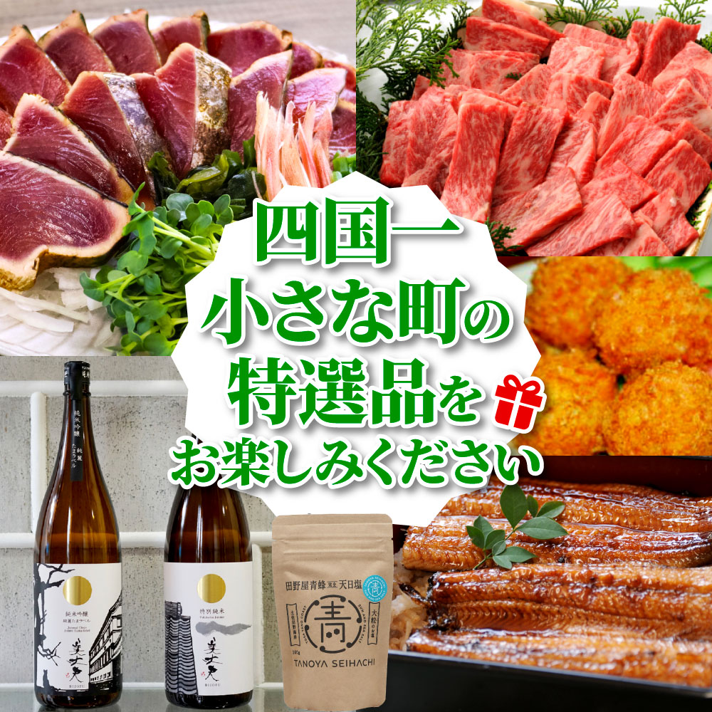 返礼品は後からゆっくり選べる寄附コース★B★ あとから選べる おすすめ 人気 カツオ カツオのたたき うなぎ 鰻 肉 酒 塩 魚 魚介 カタログ 200000円