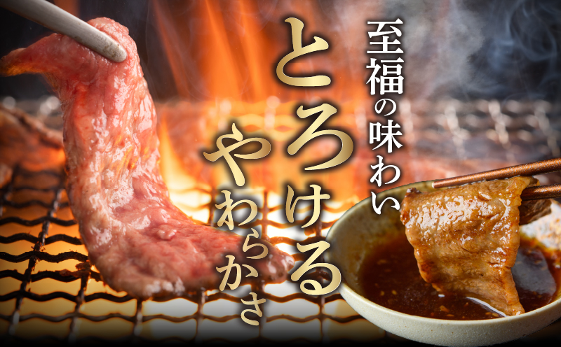 【2週間以内発送】宮崎県産黒毛和牛切り落とし(焼肉用)計500g 肉 牛 牛肉 国産_T023-0165