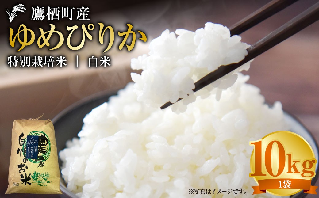 
                  【ふるさとチョイス限定】【令和7年産】 ゆめぴりか （ 白米 ） 10kg 北海道 鷹栖町 たかすタロファーム 米 コメ こめ ご飯 お米
                