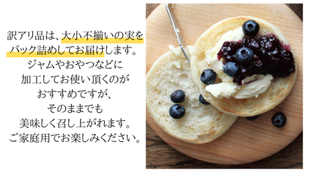 《 先行予約 》【 訳あり 】 ブルーベリー 大小不揃い 約 1kg 【2024年6月下旬頃より発送開始】訳アリ B品 お得 甘い 甘酸っぱい 産地直送 おやつ デザート ジャム スムージー