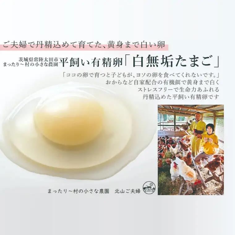最高級和三盆糖を使用した無添加・オーガニックの優しいプリン12個「茨城おしゃらぐプリン」※北海道・沖縄本島・離島配送不可（EP-2）