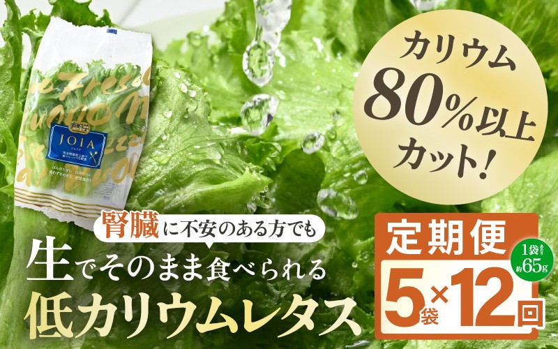 
                  定期便 ≪12ヶ月連続お届け≫ 【機能性×美味しさ】低カリウム水耕レタス JOIA（ジョイア） 約65g×5袋（栽培期間中農薬不使用・洗わず食べられる）　【野菜 生野菜 レタス サラダ お弁当 水耕栽培 洗わず食べられる 時短 付け合わせ】[m40-g001]
                