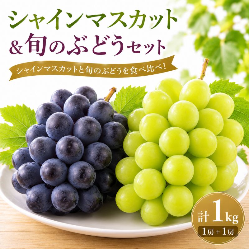 【ふるさと納税】 シャインマスカット＆旬のぶどう 計1kg 各1房 計2房 クイーンニーナ コトピー マスカットノワール 紫玉 雄宝 マスカサーティーン 鉾田市産シャインマスカット マスカット しゃいんますかっと 大粒 シャインマスカット 鉾田市 ぶどう 茨城 鉾田 ほこた