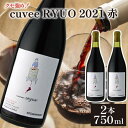 【ふるさと納税】 ワイン 2本 セット cuvee RYUO 2021 キュベリュウオウ 2本 セット 750ml × 2本 赤 ワイン ライト ボディ 辛口 マスカット ベリー ギフト 日本ワイン 酒 お歳暮 プレゼント ヒトミワイナリー お酒 地酒 果実酒 ぶどう酒 葡萄酒 滋賀 竜王町