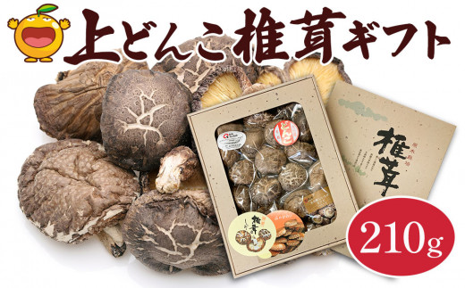 椎茸（しいたけ/シイタケ）大分産椎茸 上どんこ椎茸 ギフト椎茸 210g | 椎茸 高級椎茸 干椎茸 乾椎茸 椎茸大分産 椎茸セット 贈答椎茸 厳選椎茸 椎茸原木 原木椎茸 椎茸出汁 椎茸おすすめ 絶品椎茸 きのこ椎茸 ギフト 国産 産地直送 津久見市