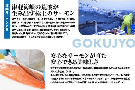 海峡サーモン水煮12缶セット