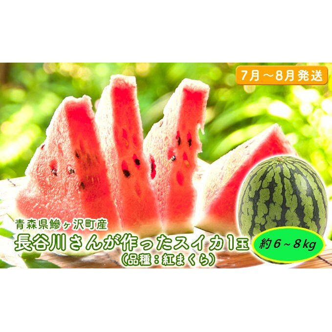 【先行予約2025年産】長谷川さんが作ったスイカ 1玉 約6～8kg（品種：紅まくら）7月～8月発送　青森県鰺ヶ沢町産