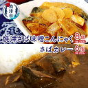 【ふるさと納税】 鯖 カレー こんにゃく レトルト アウトドア キャンプ 焼津 さば味噌こんにゃく：250g×8 さばカレー：200g×6 お手軽 さば 2種 セット a26-013