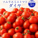 【ふるさと納税】【年3回定期便/2025年1月上旬発送開始】熊本県 ソムリエミニトマト ダイヤ 3kg×3回 合計9kg ソムリエ トマト とまと ミニトマト 野菜 旬 新鮮 塩 塩トマト 定期便 熊本県 冷蔵 送料無料