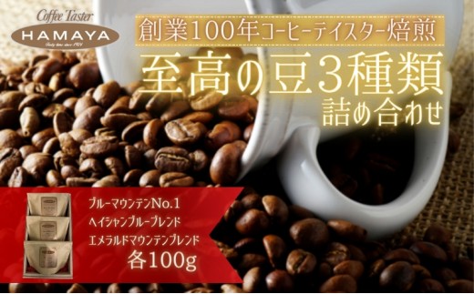 
ハマヤコーヒーセット100BR [№5275-0257]
