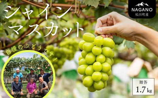 KG01 ぶどう 農家直送 シャインマスカット 贈答 約1.7kg 種なし／ 2026年9月下旬～発送