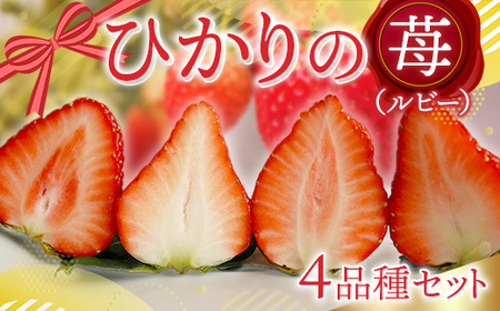 E014 ひかりの苺 （ルビー）4品種セット 1kg 2026年1月から4品種そろい次第順次発送 1000g やよいひめ おおきみ おいCベリー もういっこ イチゴ いちご 4パック 詰め合わせ 食べ比べ 山口県産 【2026年1月12日以降発送】
