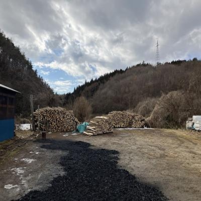 ふるさと納税 小野町 小野町産くぬぎ切落し3kg |  | 02