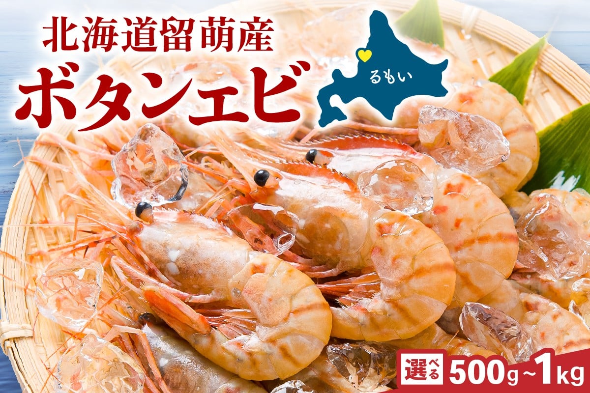 
            【選べる量】年内配送　年内発送　北海道　北海道留萌産　漁師採りたてボタンエビ　R006-013-O
          