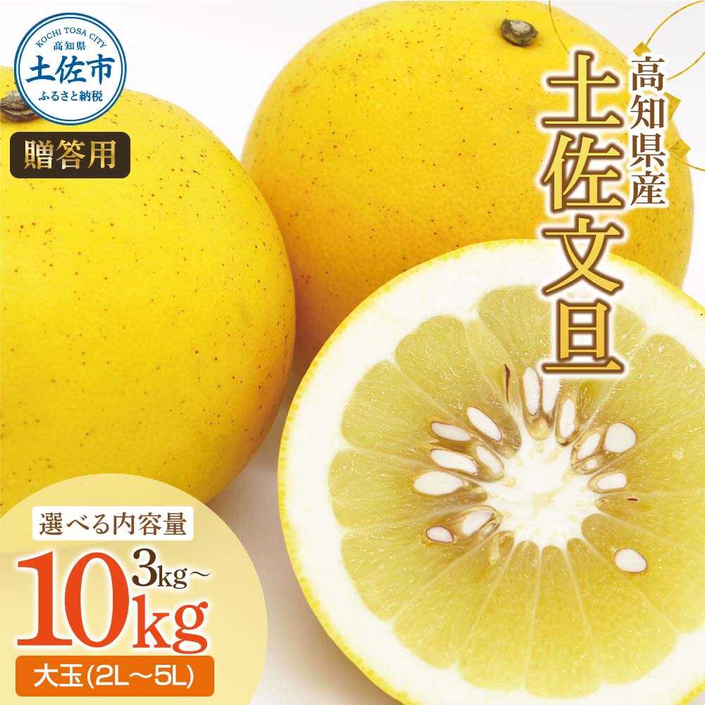 【ふるさと納税】【先行予約】【選べる内容量】土佐文旦（ぶんたん）（大玉：2L〜5L混合）約3〜10kg 土佐文旦 高知 柑橘 フルーツ ぶんたん 果物 甘い 旬 産直 お取り寄せ 季節限定 特大 高知県土佐市/株式会社とさもん[BQAE029]