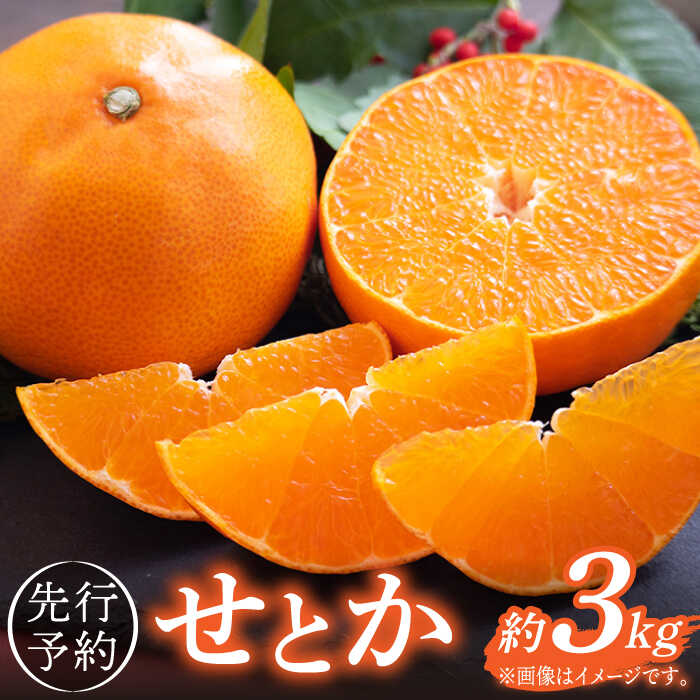 【ふるさと納税】【先行予約】弾力があり甘い！せとか長崎県産 約3kg【田崎FARM】[OCU002] / 贈答 ギフト 絶品 人気 お取り寄せ フルーツ 果実 みかん ジューシー おいしい 甘い 柑橘 グルメ 甘い 産地直送 みかん ミカン 冬 こたつ 贈りもの セトカ くだもの 果物 ふるーつ