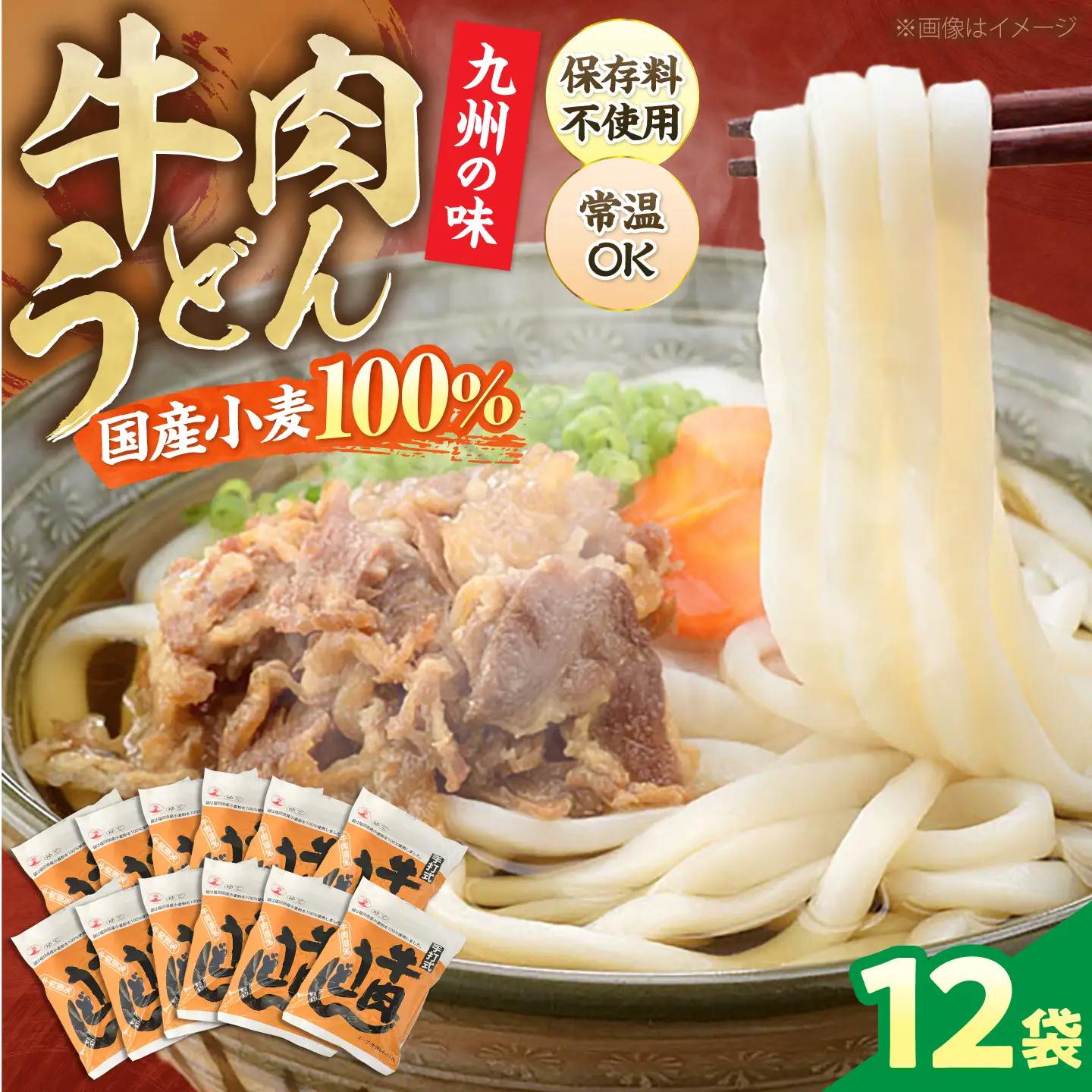 牛肉うどん12食 VAI006 肉うどん