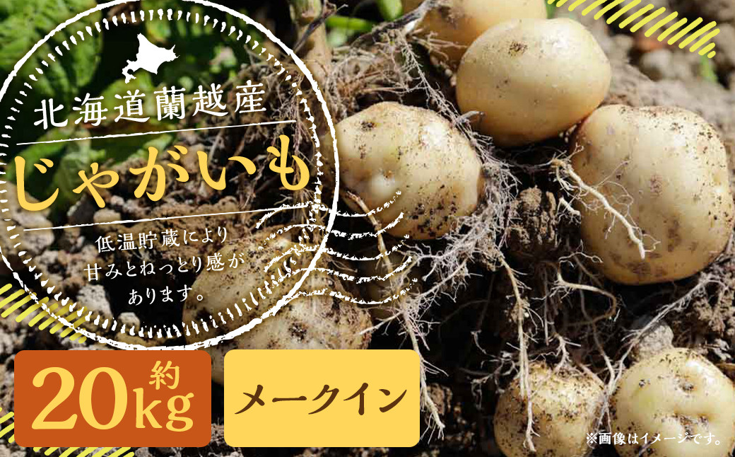 北海道 蘭越産 じゃがいも（メークイン） 約20kg【2024年11月下旬～2025年4月上旬発送予定】