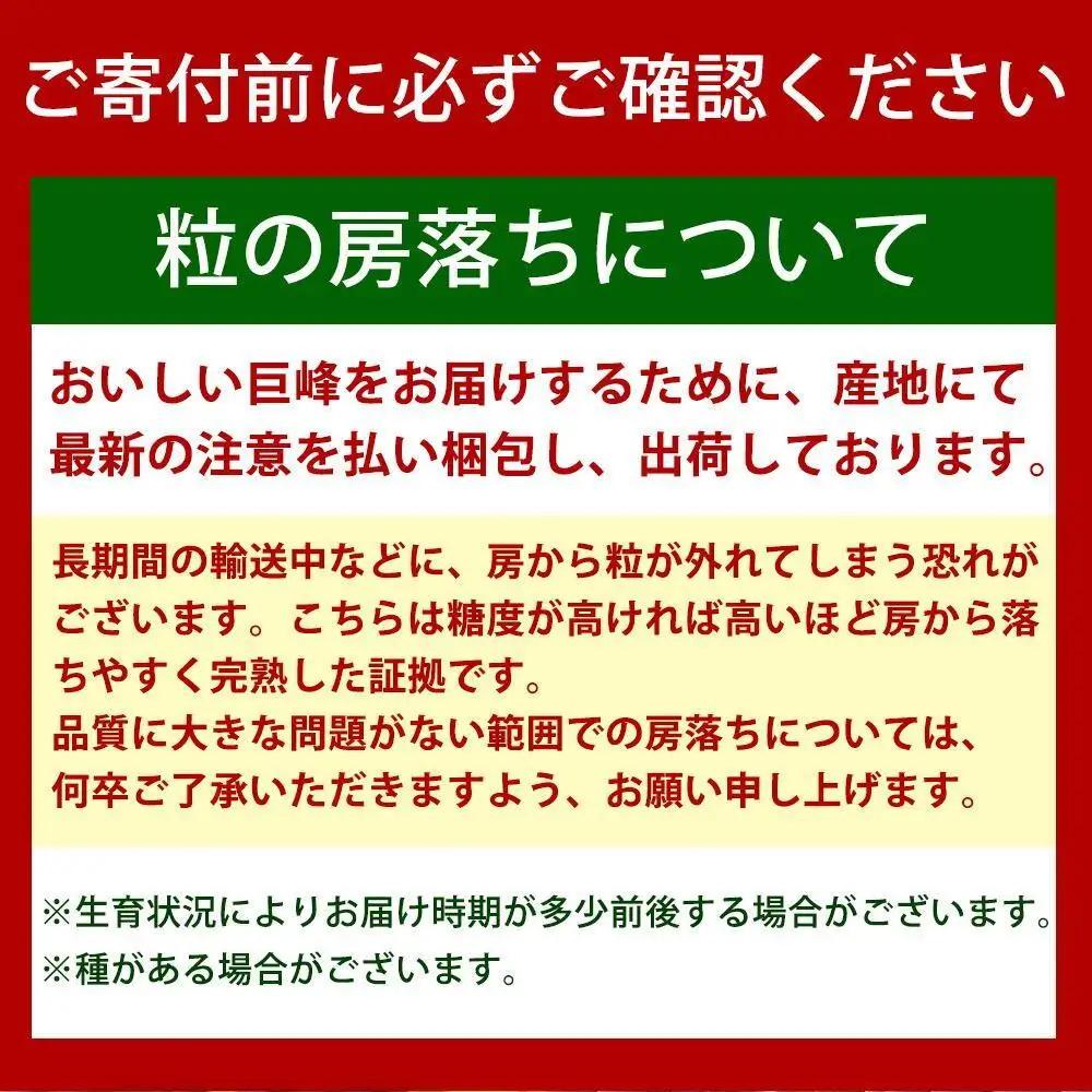 【8・9・12月 全3回】紀州産 巨峰とフルーツ定期便A（巨峰・梨・みかん） 【魚鶴商店】