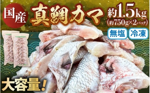 国産 真鯛カマ 約1.5kg　(約750g×2パック) 大容量 無塩 冷凍【鯛 タイ たい マダイ 塩焼き 焼き魚 鯛めし 煮付け 朝食 魚介類 真空パック】[m78-a007]