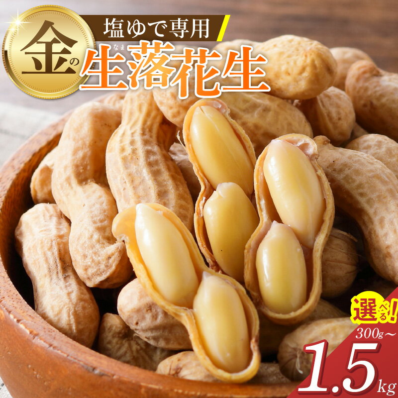 【ふるさと納税】先行予約 生落花生 金の生落花生 選べる 容量 300g 1kg 1.5kg やみつき 極うま 生ピーナッツ 塩ゆで専用 国産 落花生 地豆 豆 さとのか 朝採り 鮮度 栄養 おつまみ サラダ かき揚げ 神重農産 食品 お取り寄せ 愛知県 碧南市 送料無料