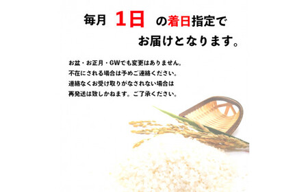 【定期便12回・毎月1日お届け】京都府産コシヒカリ 白米 10kg×12回 定期便 お米 米 白米 精米 こしひかり 国産 京都 綾部