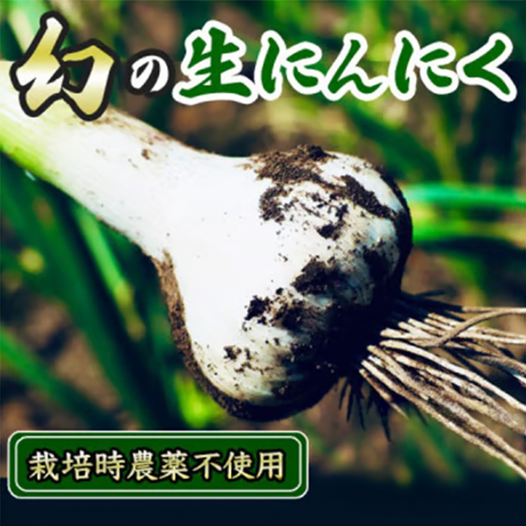 
                  ＼期間限定／採りたて 生にんにく 1.2kg 数量限定 ニンニク にんにく 採れたて 産地直送 国産 栄養 ガーリック 野菜 料理 常温 茨城県 城里町 城里にんにく本舗 (BJ018)
                
