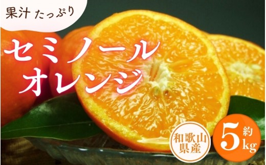セミノールオレンジ 約5kg/サイズおまかせ　※2027年4月中旬～2027年5月下旬頃に順次発送予定(お届け日指定不可)　紀伊国屋文左衛門本舗　【kstb481B】