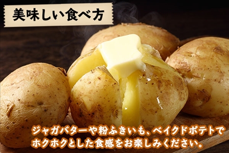 【10月より順次発送予定】北海道 じゃがいも 男爵 10kg 北海道産 十勝産 男爵芋 男爵イモ 男爵薯 ジャガイモ 芋 いも ポテト お取り寄せ まとめ買い 送料無料 十勝 士幌町【V03】