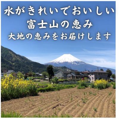ふるさと納税 西桂町 【発送月固定定期便】新鮮野菜!農家厳選の旬のお野菜セット約5〜8種類を約3kg〜5kg全4回 |  | 02