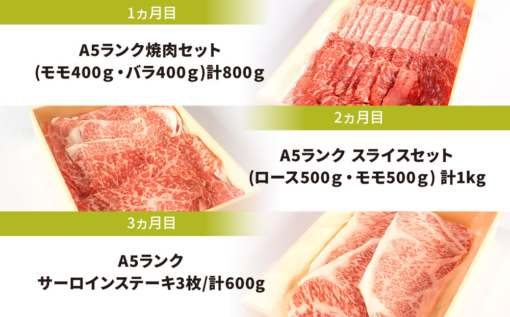 3カ月目：A5ランク近江牛サーロインステーキ3枚/計600g