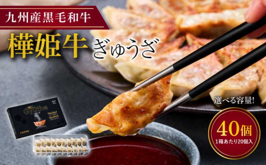 樺姫牛 ぎゅうざ 40個入 餃子 黒毛和牛 牛肉 肉 国産 おかず