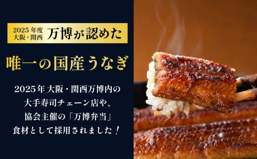 鰻 鰻の蒲焼き4尾セット 国産うなぎ 国産 美陵鰻 うなぎ ウナギ かば焼き 蒲焼きせいろ蒸し 土用の丑の日 土用 丑の日 贈答 贈り物 大阪府 阪南市 送料無料 ギフト 特大 肉厚 うな重 うな丼