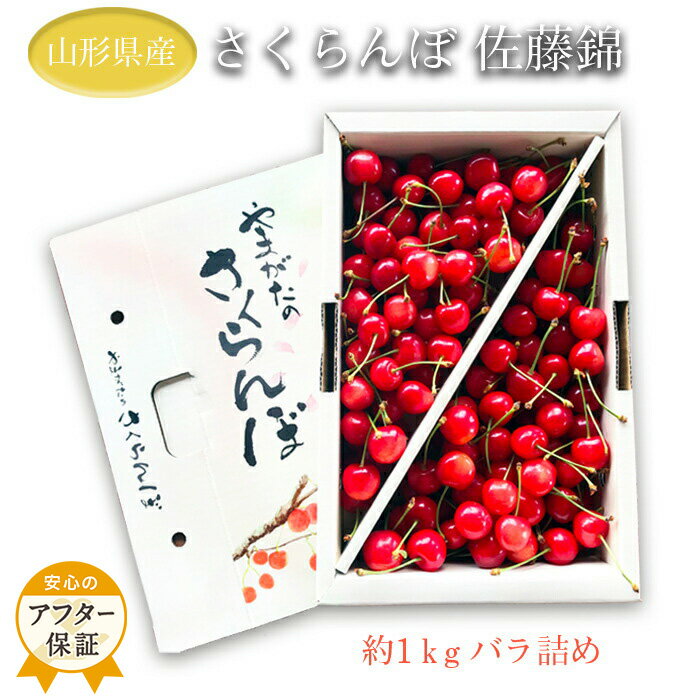 【ふるさと納税】＼アフター保証対象品／ 山形 の さくらんぼ 佐藤錦 「秀品」 1kg （L玉・化粧箱・バラ詰め） 【2025年6月発送分先行受付】 令和7年 2025 H035(R7)