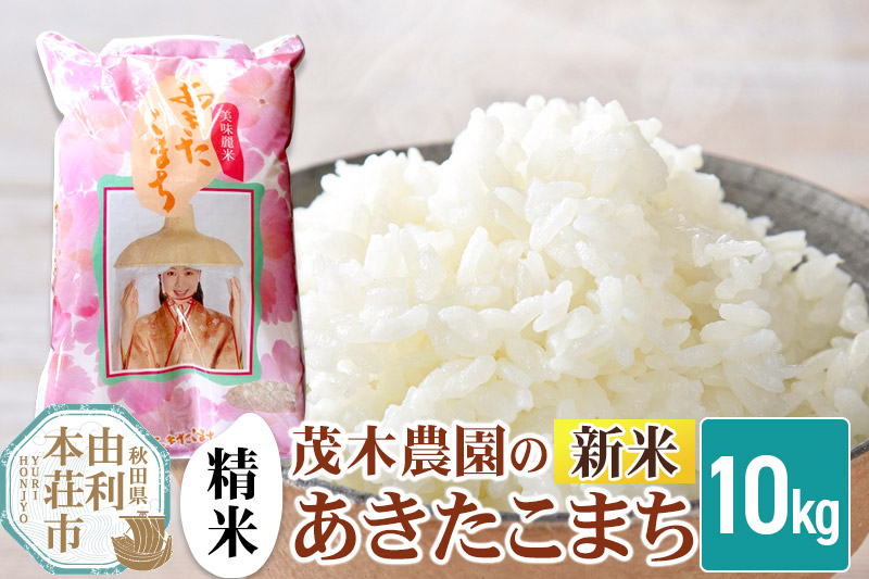 《令和7年産 新米》【精米】あきたこまち 10kg 秋田県産 茂木農園のあきたこまち ブランド米 銘柄米 米どころ 秋田県 由利本荘市