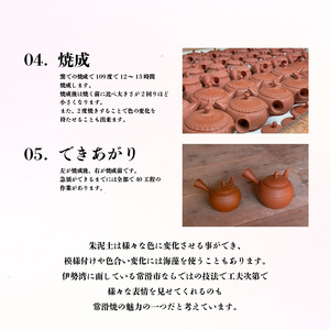 常滑焼急須　黒泥　白桜 陶器 やきもの 焼き物 手作り 伝統工芸品 工芸品 茶器 茶道具 急須 常滑焼 日本六古窯 キッチン用品 日用品 食器 雑貨 ティーポット 日本茶 緑茶 日本製 愛知県 常滑市