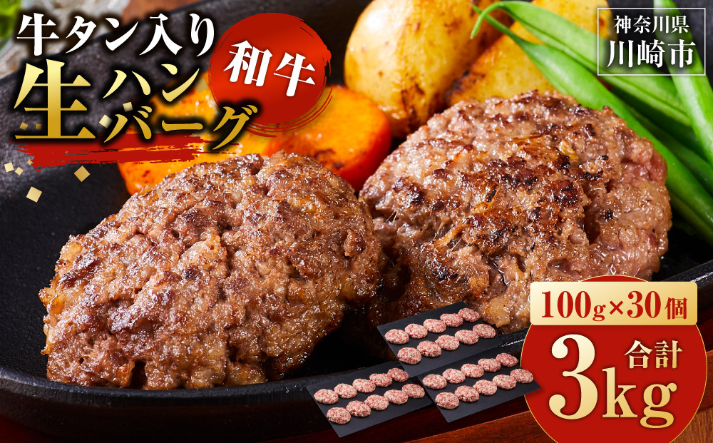 牛タン”入り”和牛生ハンバーグ　100g×30pc　合計3kg【3月発送】 141305_KZ11VC03