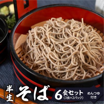 ふるさと納税 下呂市 【訳あり】簡易包装 半生そば 3食×2パック めんつゆ付き 6食セット【丸中製麺所】【29-8】