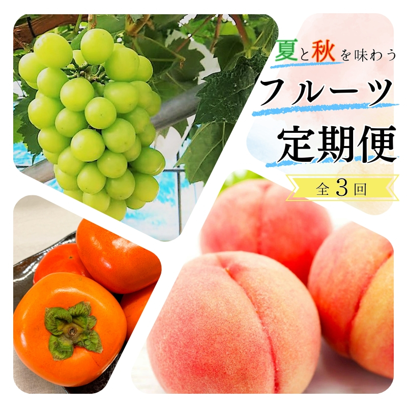 
                  【7・8・10月 全3回】紀州和歌山産旬のフルーツセット（桃・シャインマスカット・ひらたねなし柿）定期便 【魚鶴商店】【UT66】
                