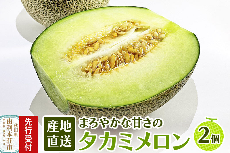 《先行受付》由利本荘産 メロン 2個 [メロン フルーツ 果物 スイーツ 先行予約 秋田 由利本荘市産 国産]