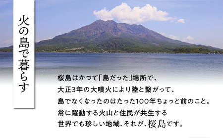 桜島つばきリップクリーム 2本セット K062-019