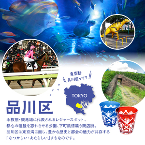 HISふるさと納税宿泊予約専用クーポン（東京都品川区）21,000円分