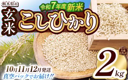 【栃木県共通返礼品】【先行予約】【12月発送】【数量限定】令和7年度新米 栃木県産こしひかり（玄米真空パック） 2kg  | 玄米 精米 お米 コメ こしひかり 先行予約 ブランド米 栃木県 特産品  下野市 送料無料