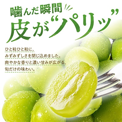 【2026年度発送分】早起き農家の直送便　上出来シャインマスカット1房【配送不可地域：離島・北海道・沖縄県】